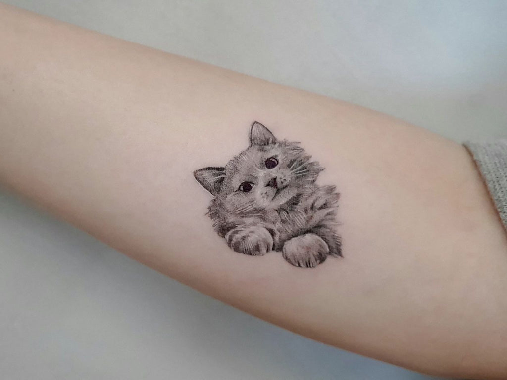 71 Cool Cat Outline Tattoo Ideas [2024 Inspiration Guide] | Cat outline  tattoo, Cute cat tattoo, Cat tattoo small
